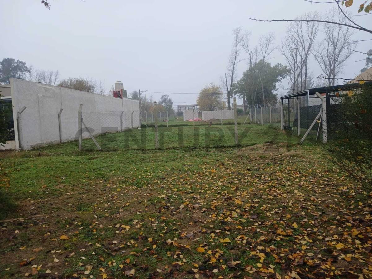 Foto de Venta Terreno en Tristan Suárez, imagen 4
