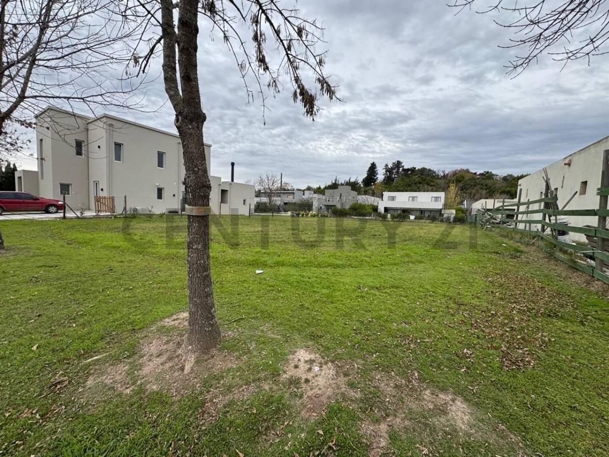 Foto de VENTA LOTE INTERNO, EL CAZAL, ESCOBAR, imagen 5