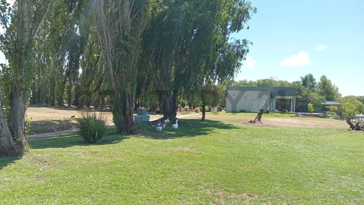 Foto de Lote en venta – Isla del Este, Delta de Tigre, imagen 5