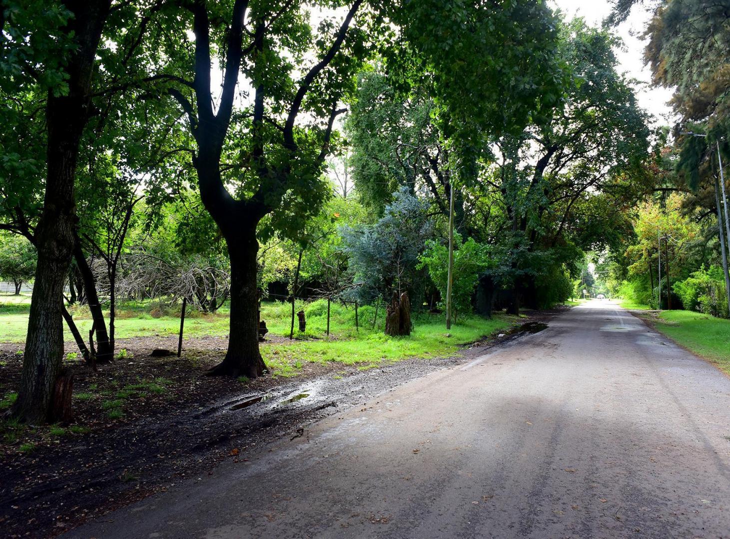 Foto de VENTA LOTE 2411M2 TORTUGUITAS CENTRO ESCRITURA, imagen 5