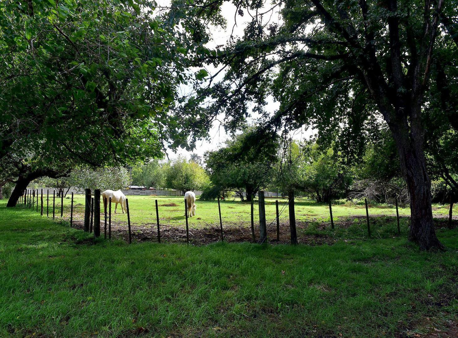 Foto de VENTA LOTE 2411M2 TORTUGUITAS CENTRO ESCRITURA, imagen 4