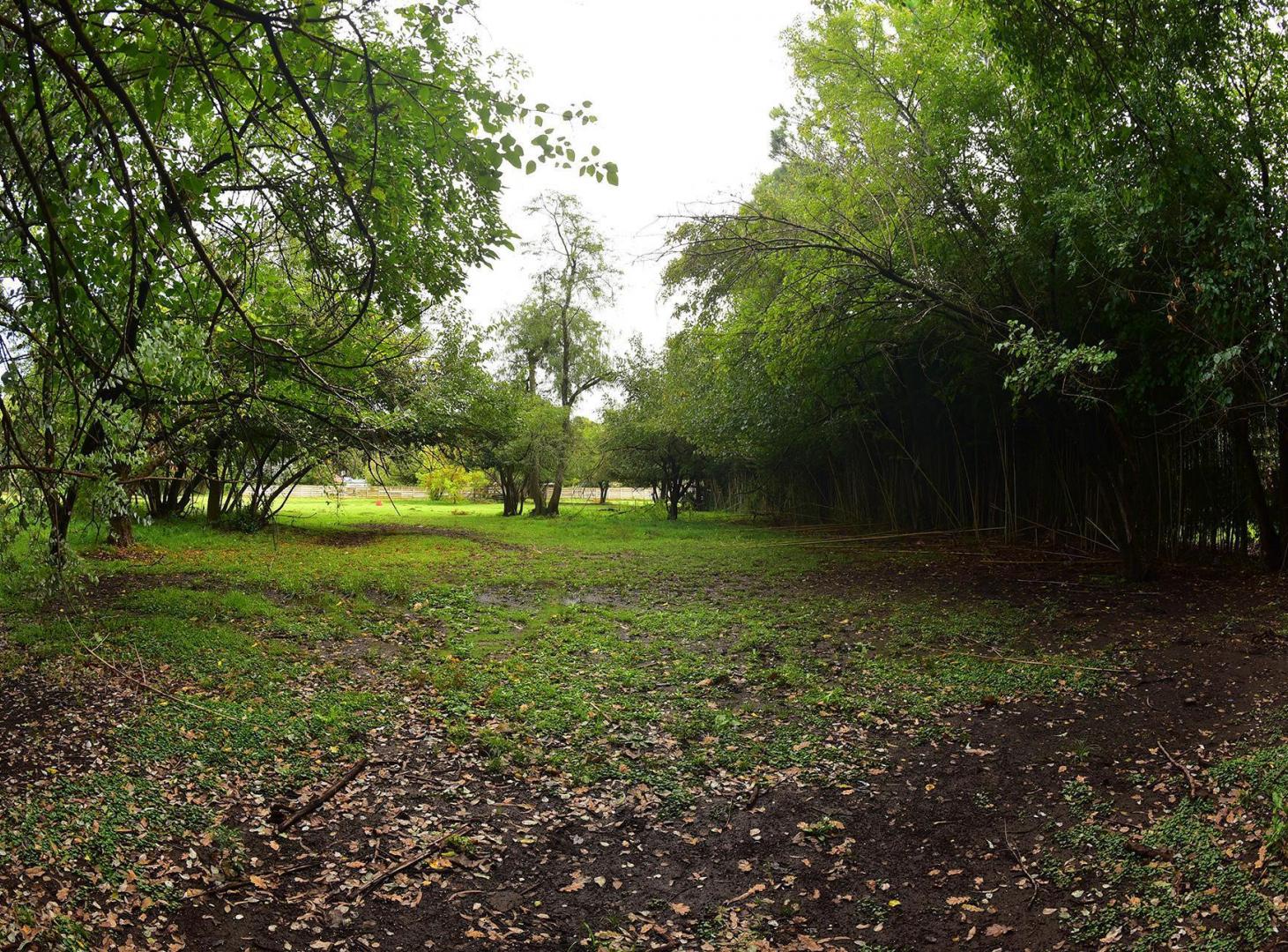 Foto de VENTA LOTE 943M2 TORTUGUITAS CENTRO ESCRITURA, imagen 5