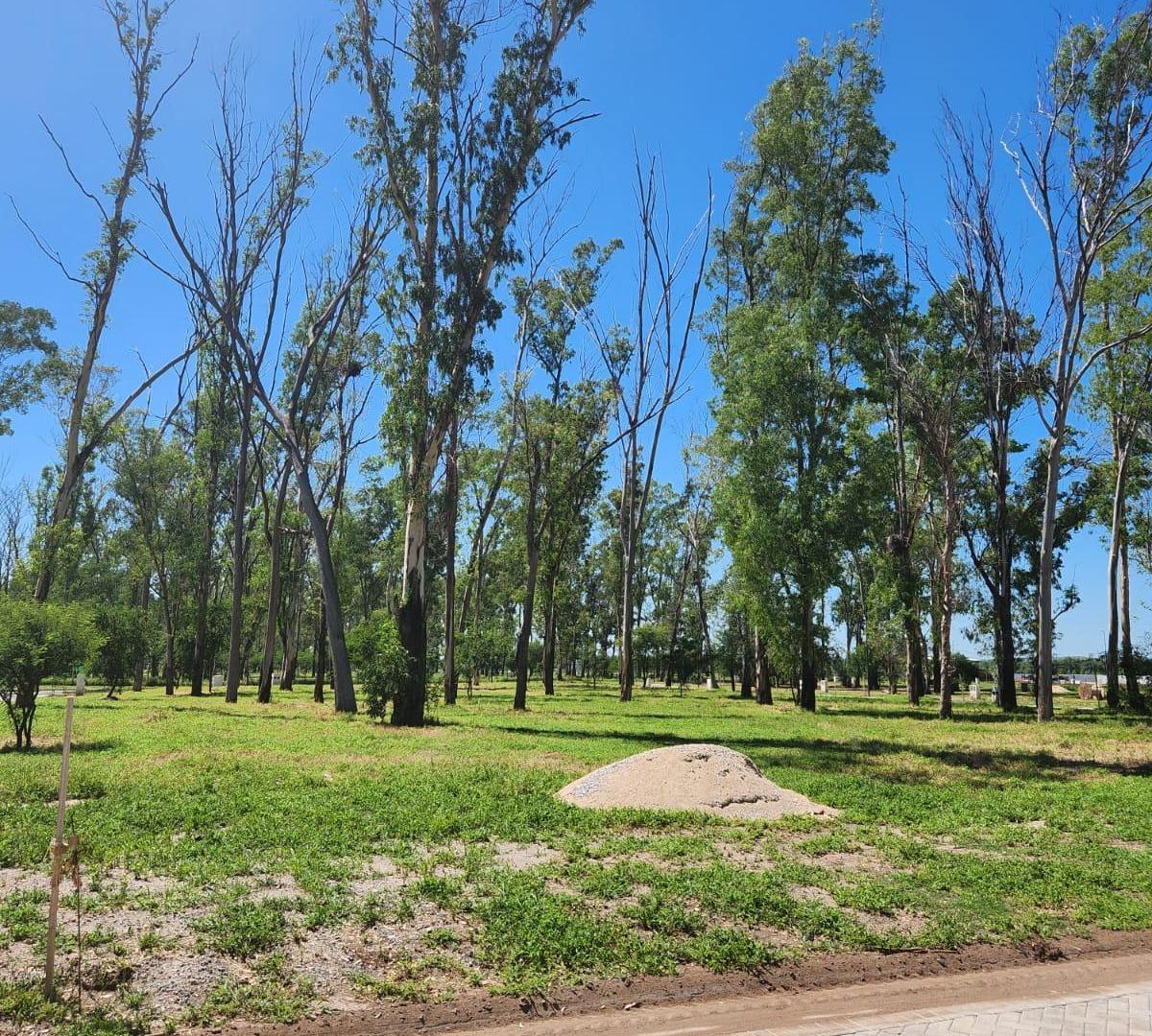 NUEVO MALAGUEÑO - EXCELENTE LOTE ESQUINA APTO CASA