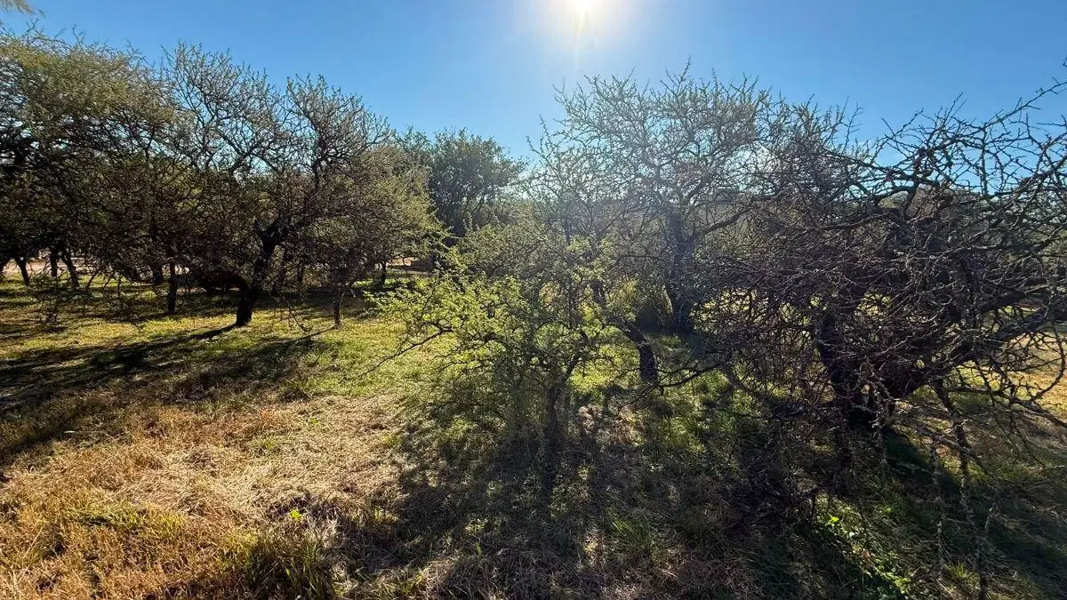 Lote con vista en Country Causana 3