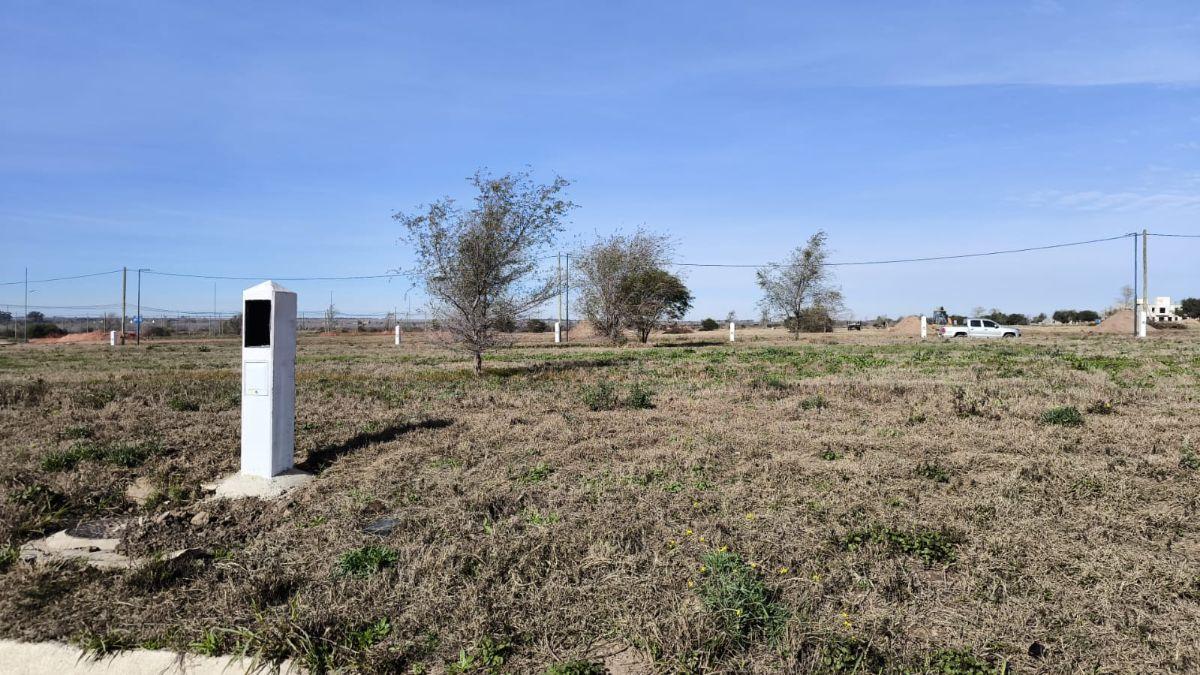 Docta Parque M, apto dúplex, 300m², fondo norte, posesión inmediata¡¡¡
