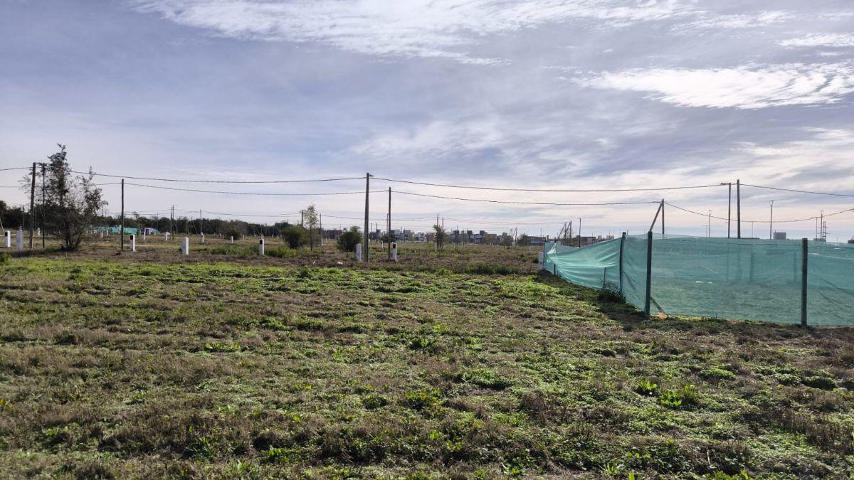 Docta Parque M, apto dúplex, 300m², fondo norte, posesión inmediata¡¡¡