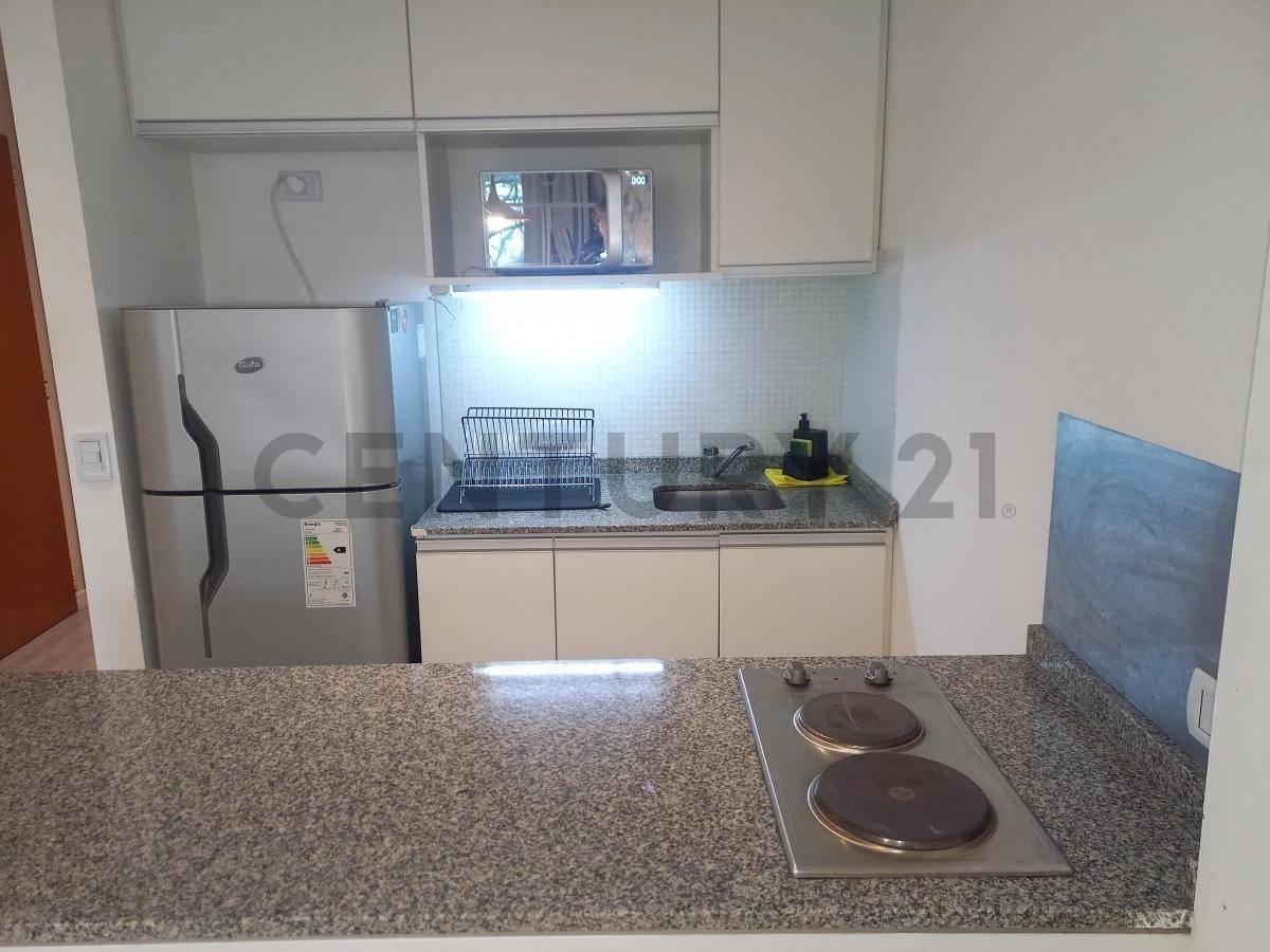 Foto de DEPARTAMENTO EN ALQUILER INGRESO INMEDIATO, imagen 5