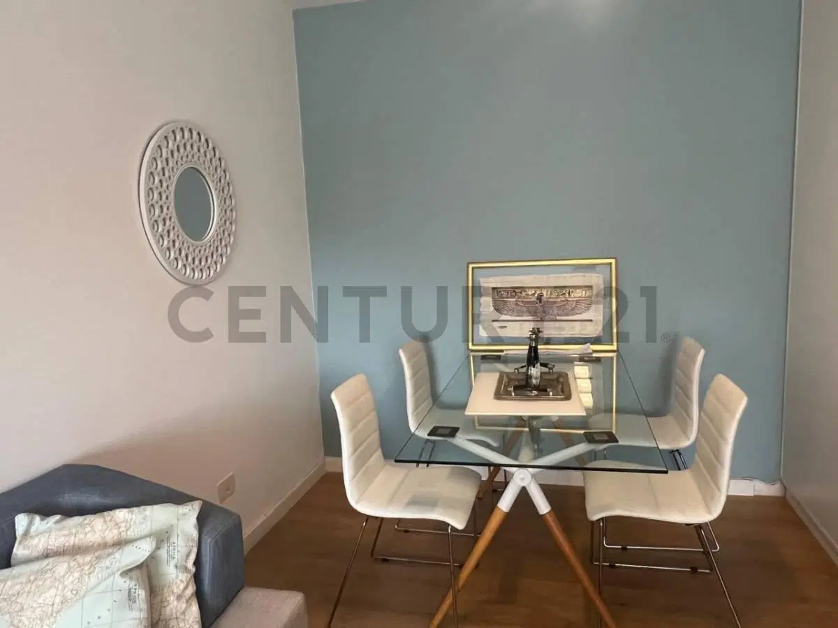 ALQUILER DE MONOAMBIENTE EN NUÑEZ CON BALCON APTO MASCOTAS Y PROFESIONAL 2