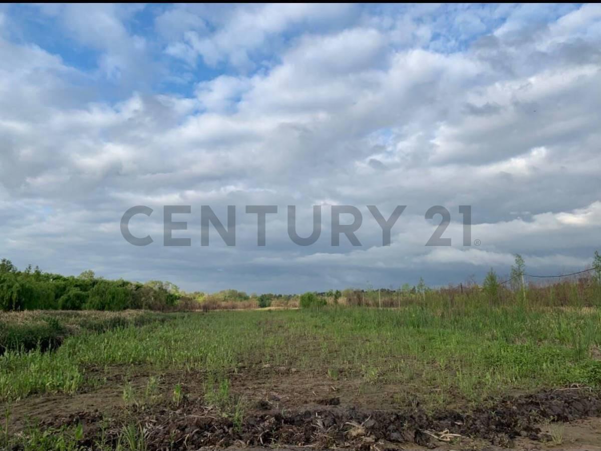 Foto de Vendo Lote en el barrio isla Shalom en Dique Luján., imagen 2