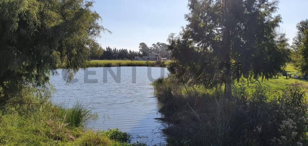 Foto de Lote en venta, imagen 2