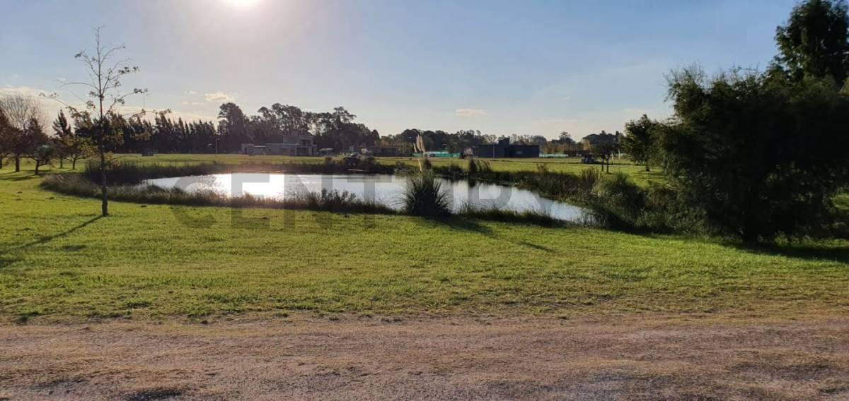 Foto de Lote en venta, imagen 4