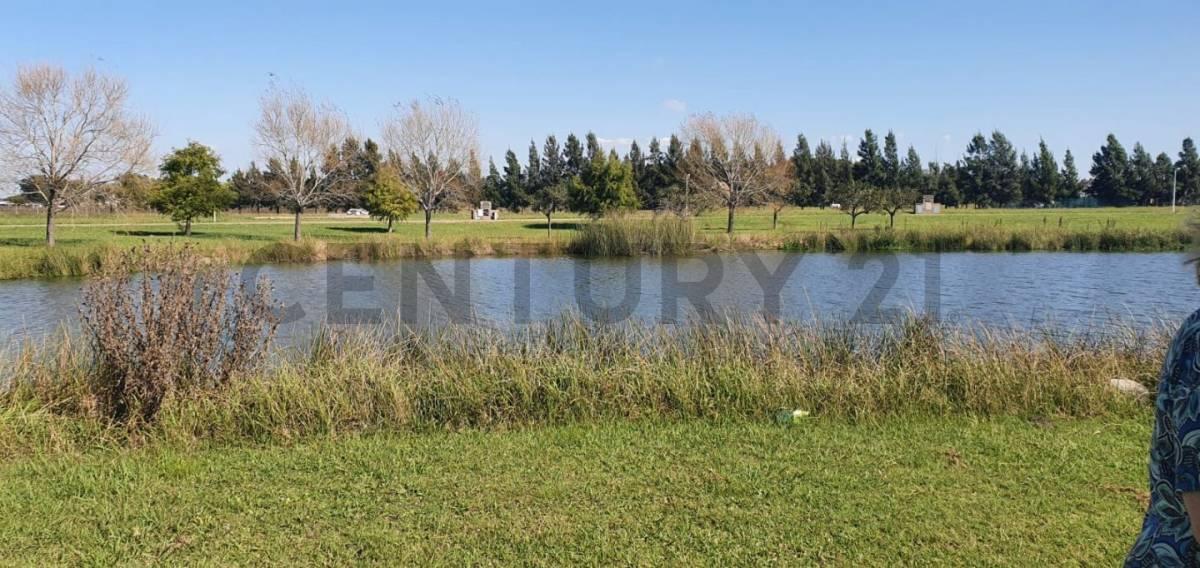 Foto de Lote en venta, imagen 5