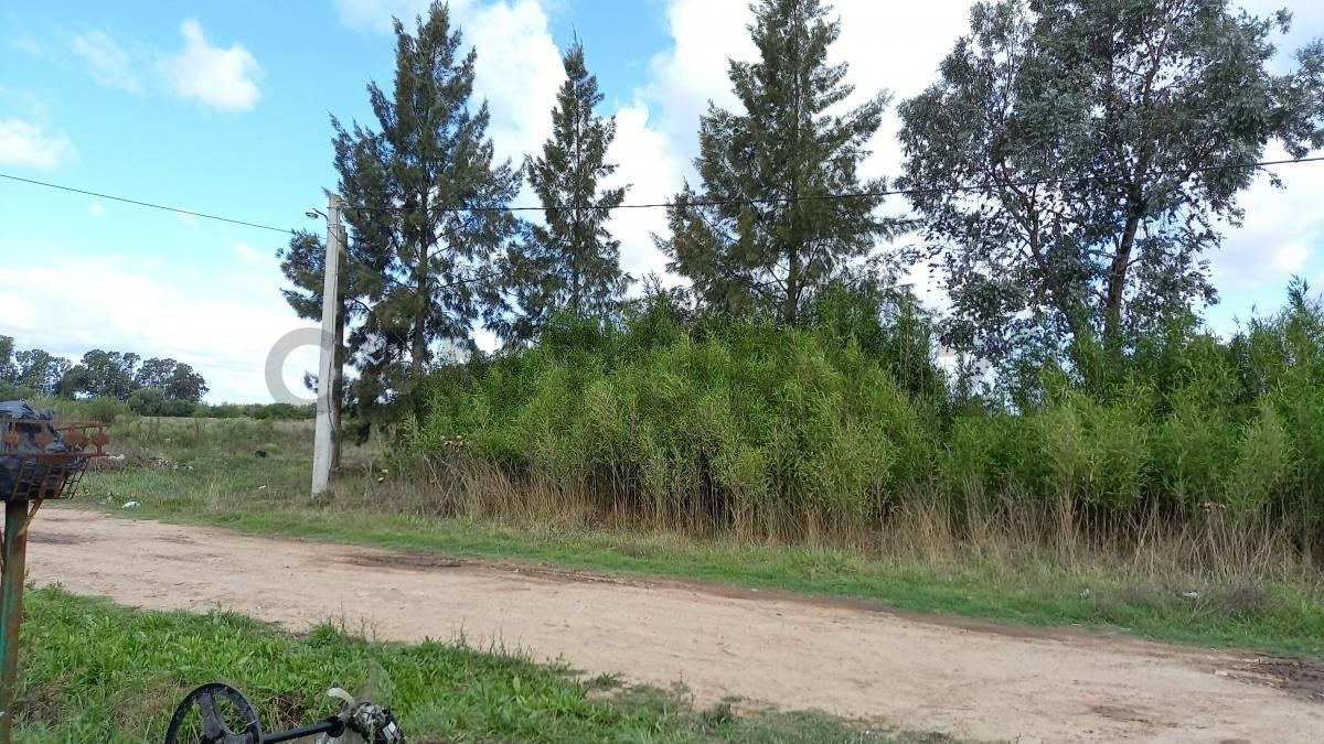 Foto de EXCELENTE TERRENO VENTA CORONEL BRANSEN, imagen 1