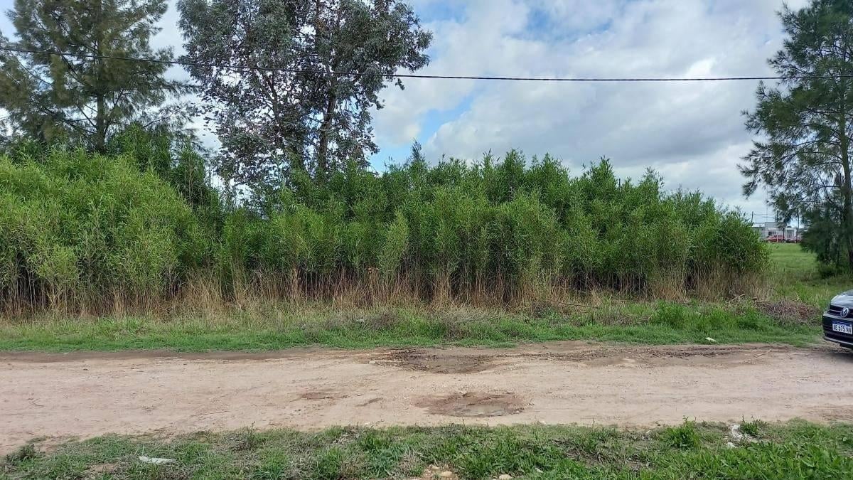 Foto de EXCELENTE TERRENO VENTA CORONEL BRANSEN, imagen 4