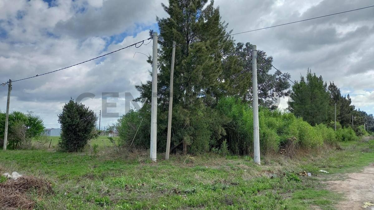 Foto de EXCELENTE TERRENO VENTA CORONEL BRANSEN, imagen 5