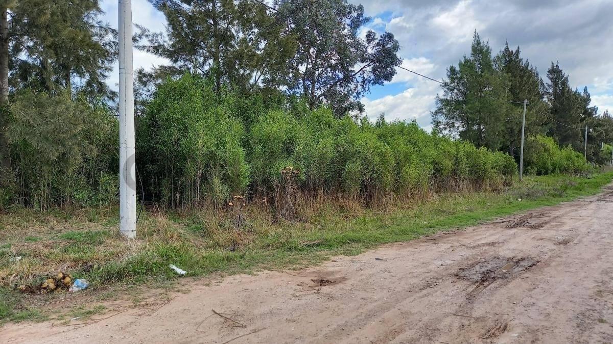 Foto de EXCELENTE TERRENO VENTA CORONEL BRANSEN, imagen 2