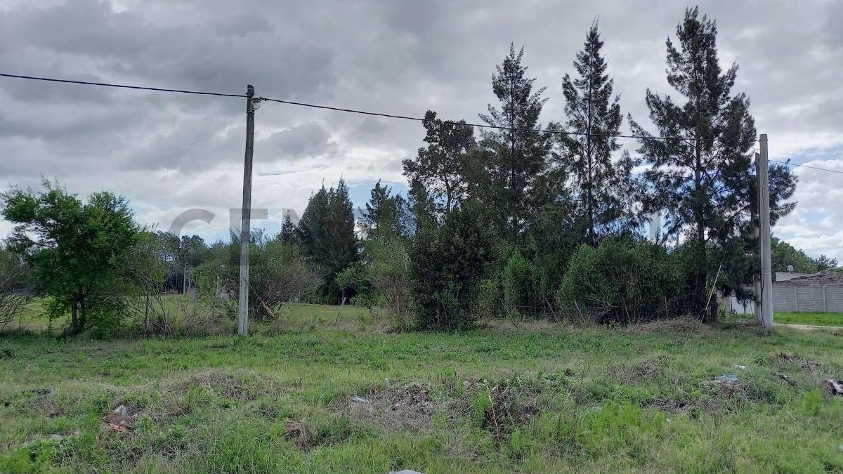 Foto de EXCELENTE TERRENO VENTA CORONEL BRANSEN, imagen 3
