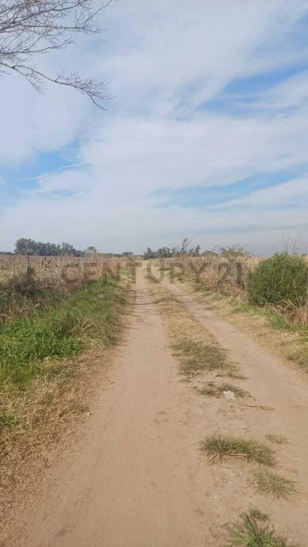 Foto de Propiedad 283113, imagen 5