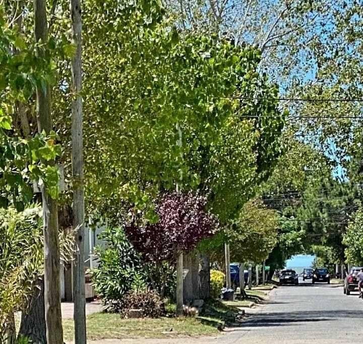 Foto de VENTA DE CHALET 4 AMBIENTES EN LAS TONINAS, imagen 2
