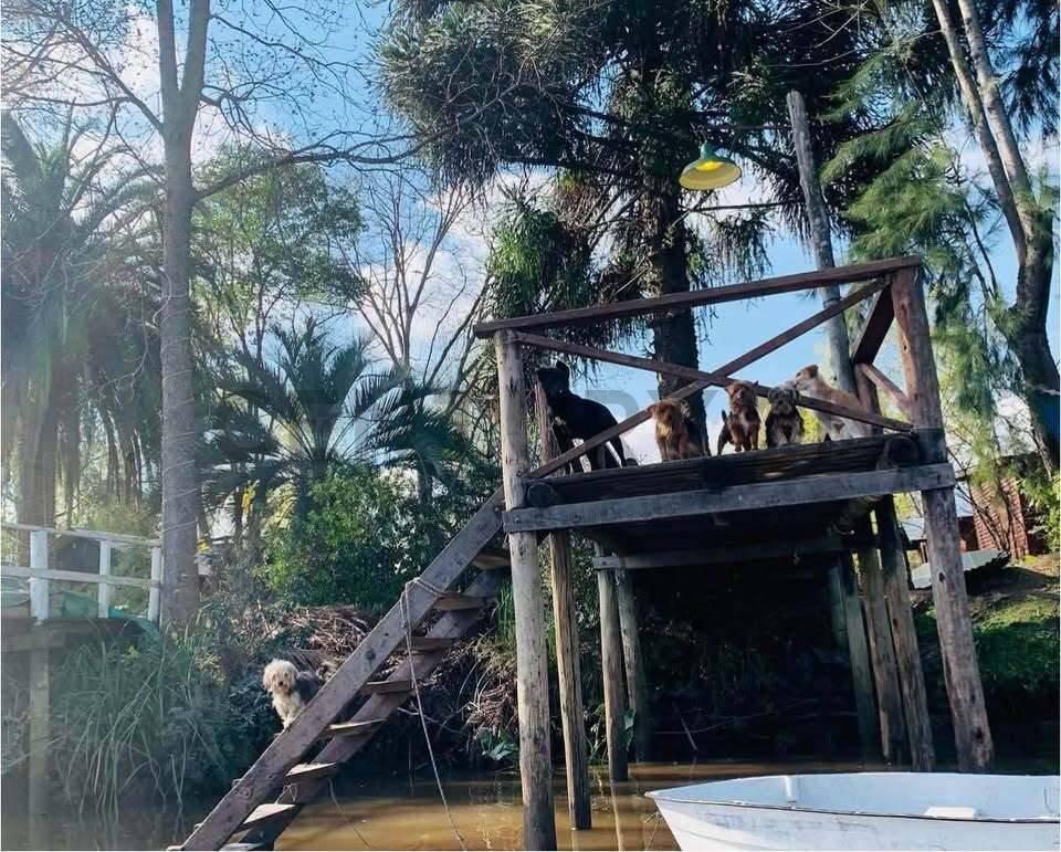 Foto de En Venta casa en el Delta de Tigre, imagen 2