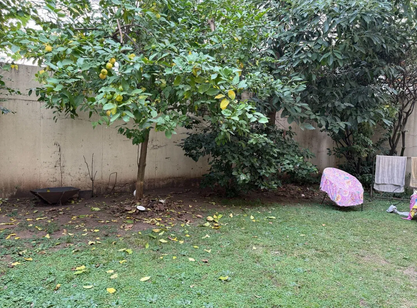 En Venta Departamento de 1 AMBIENTE al frente con Patio  Chacarita 4