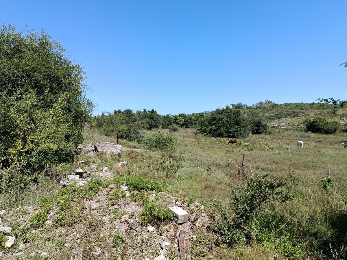 Excelente fracción de 18500m2 en TANTI