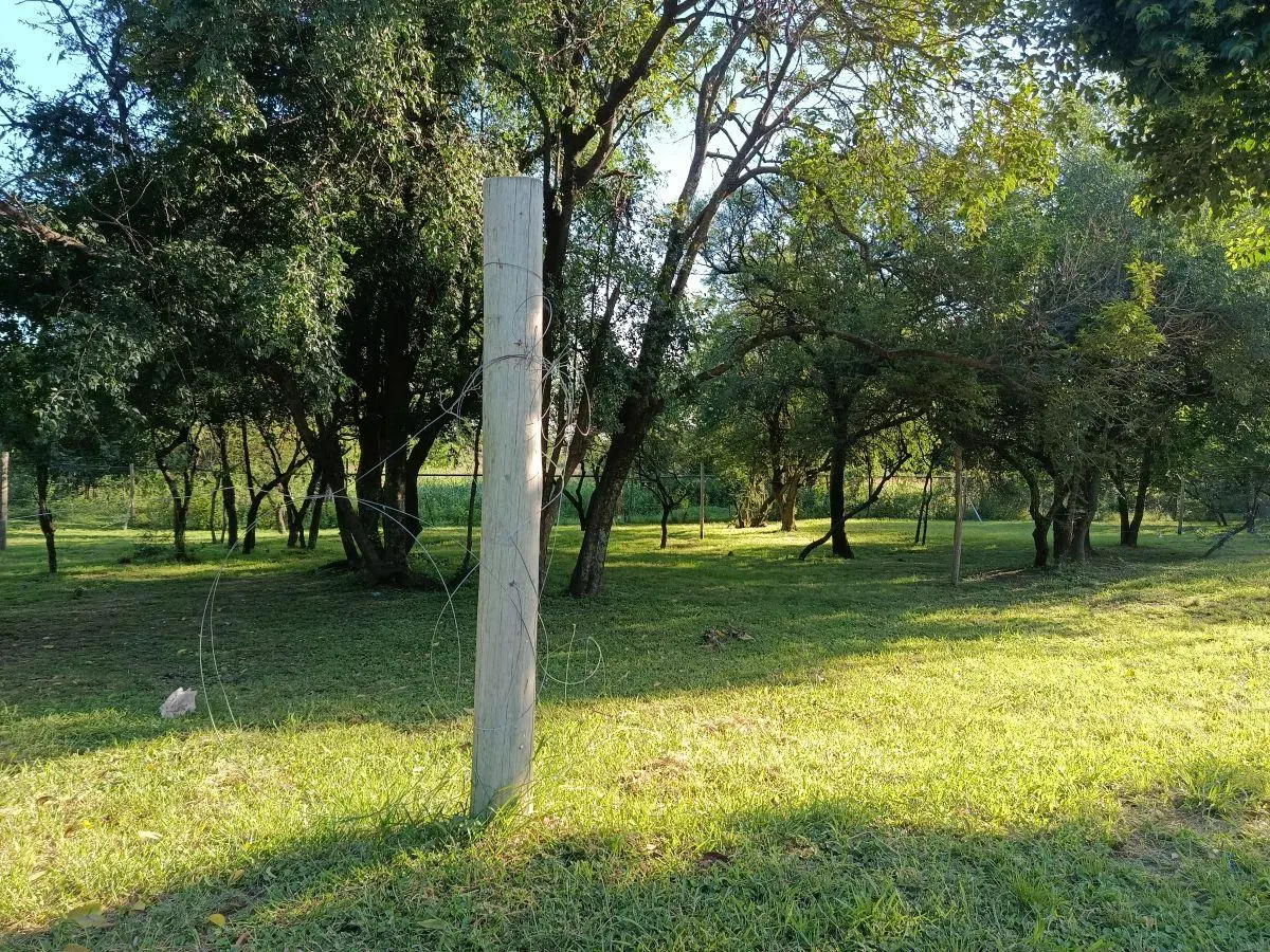 Villa Catalina - LOS BOSQUES: 2 lotes contiguos - 450m2 c/u 4