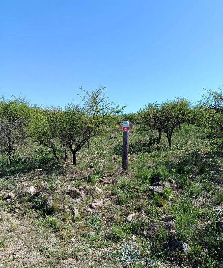 1200m2 a Pura Naturaleza 5