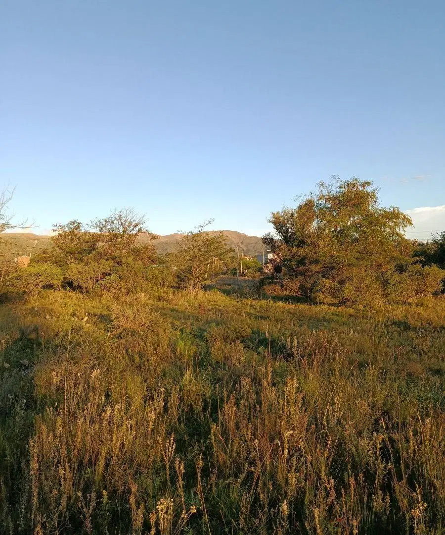 3 lotes contiguos, 3000m2, totales excelentes vistas - Va. GIARDINO 5
