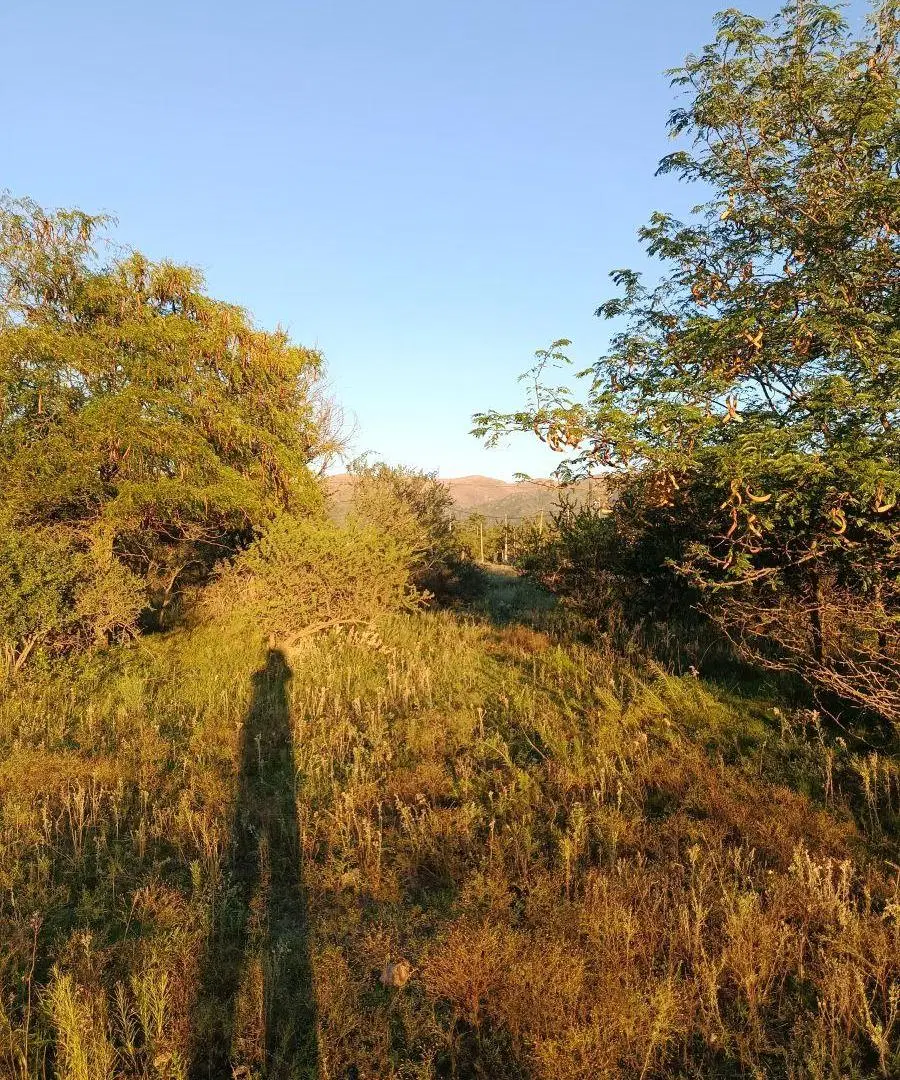 3 lotes contiguos, 3000m2, totales excelentes vistas - Va. GIARDINO 3
