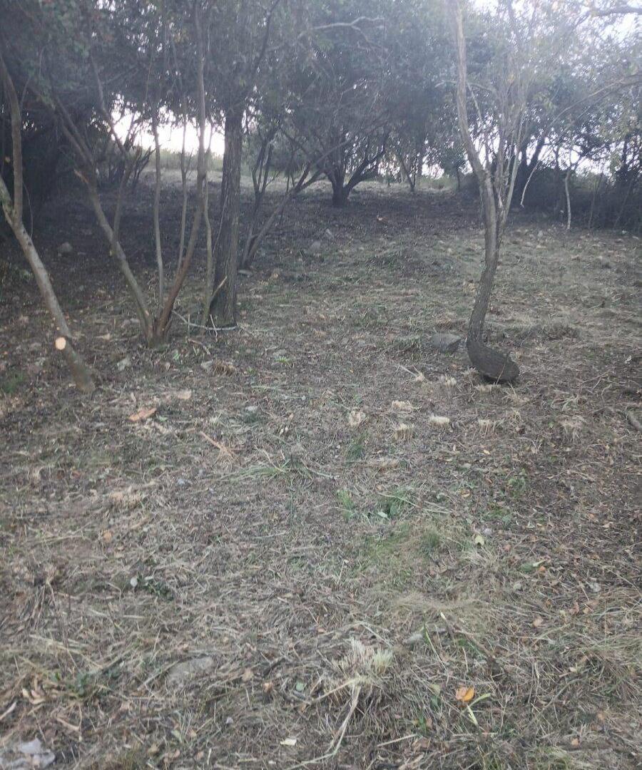 Foto de Tu terreno HOY, en Barrio Huerta Grande Parque, imagen 4