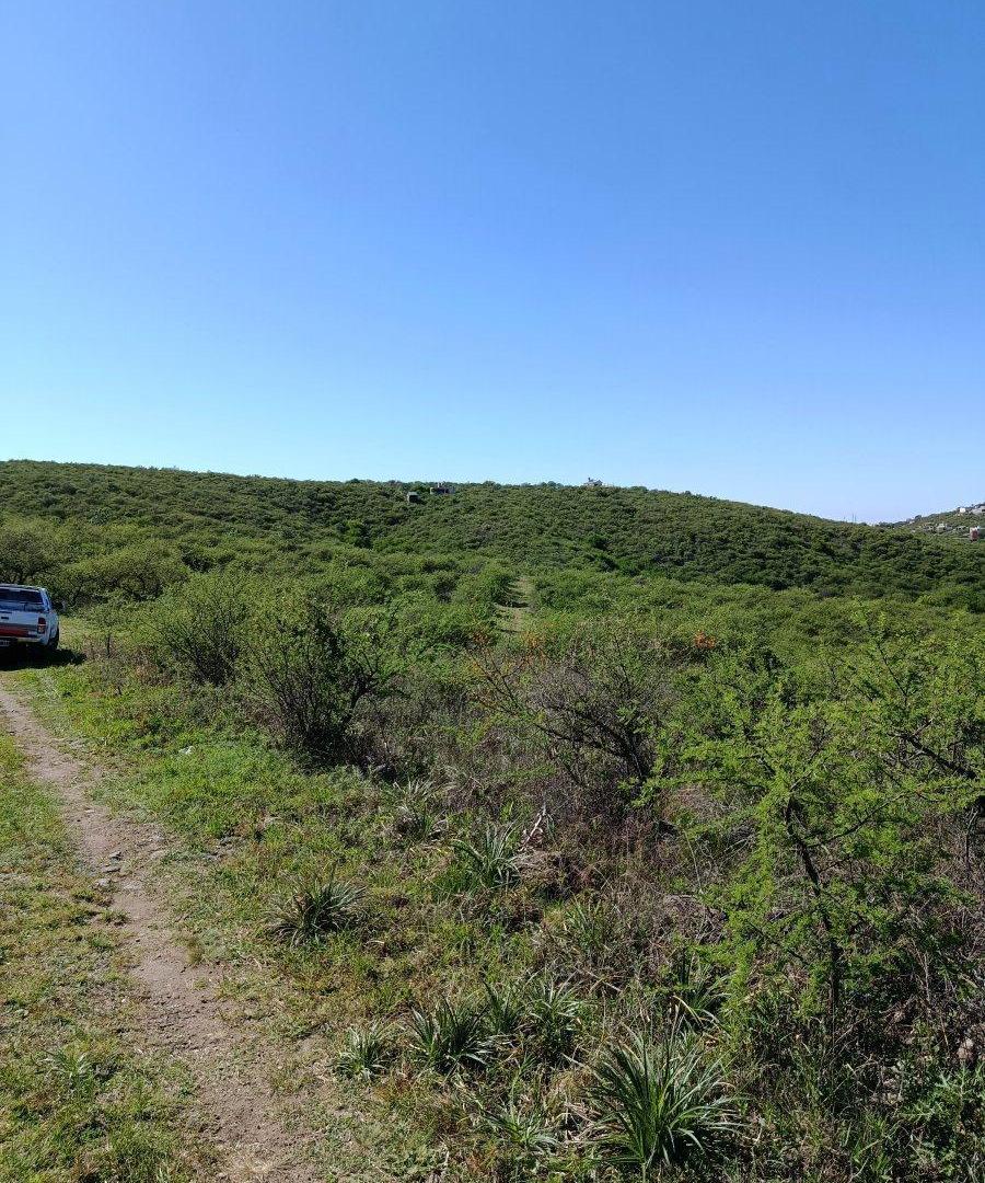 Foto de 1200m2 a Pura Naturaleza, imagen 3
