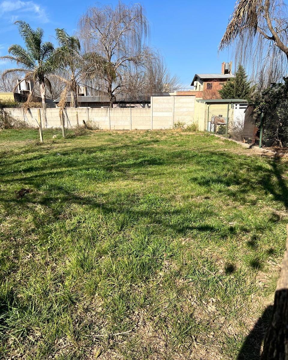 Sarmiento al 200 - Carcaraña