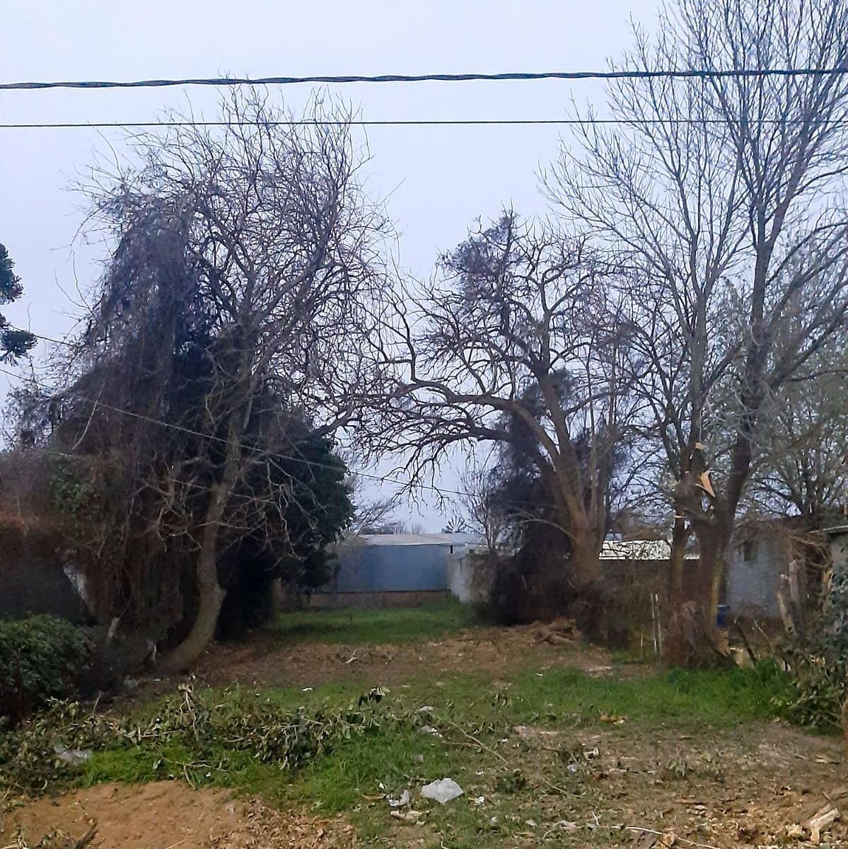 Lote en Alvear 2500 - Casilda 3