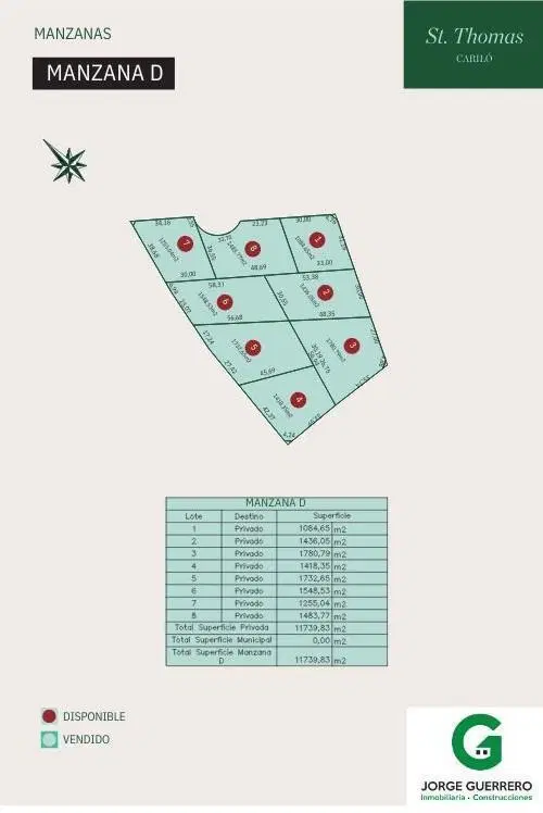 Plano 6