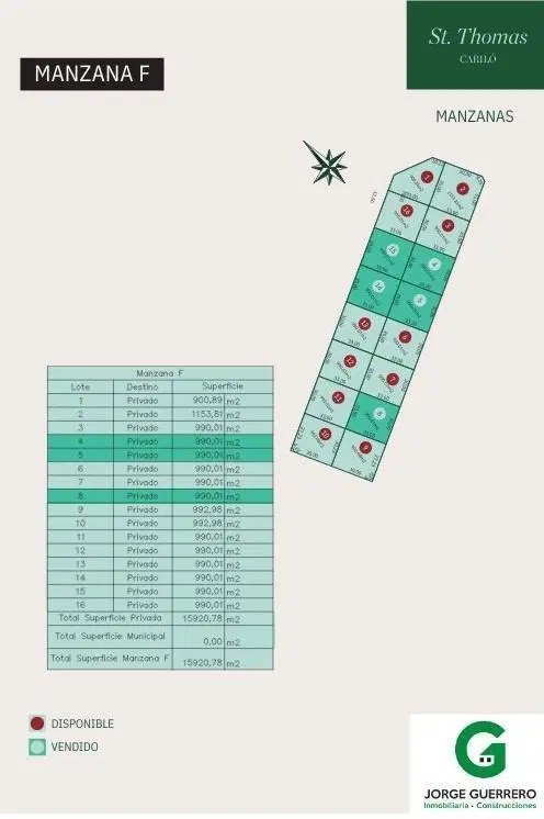 Plano 7
