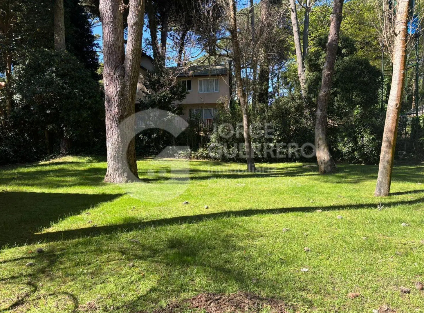 Casa - Carilo 5