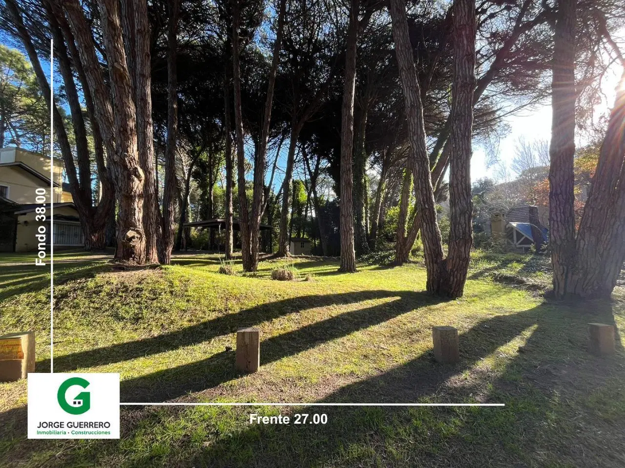 CODIGO - URRACA E/ CAOBA Y ARAUCARIA 2