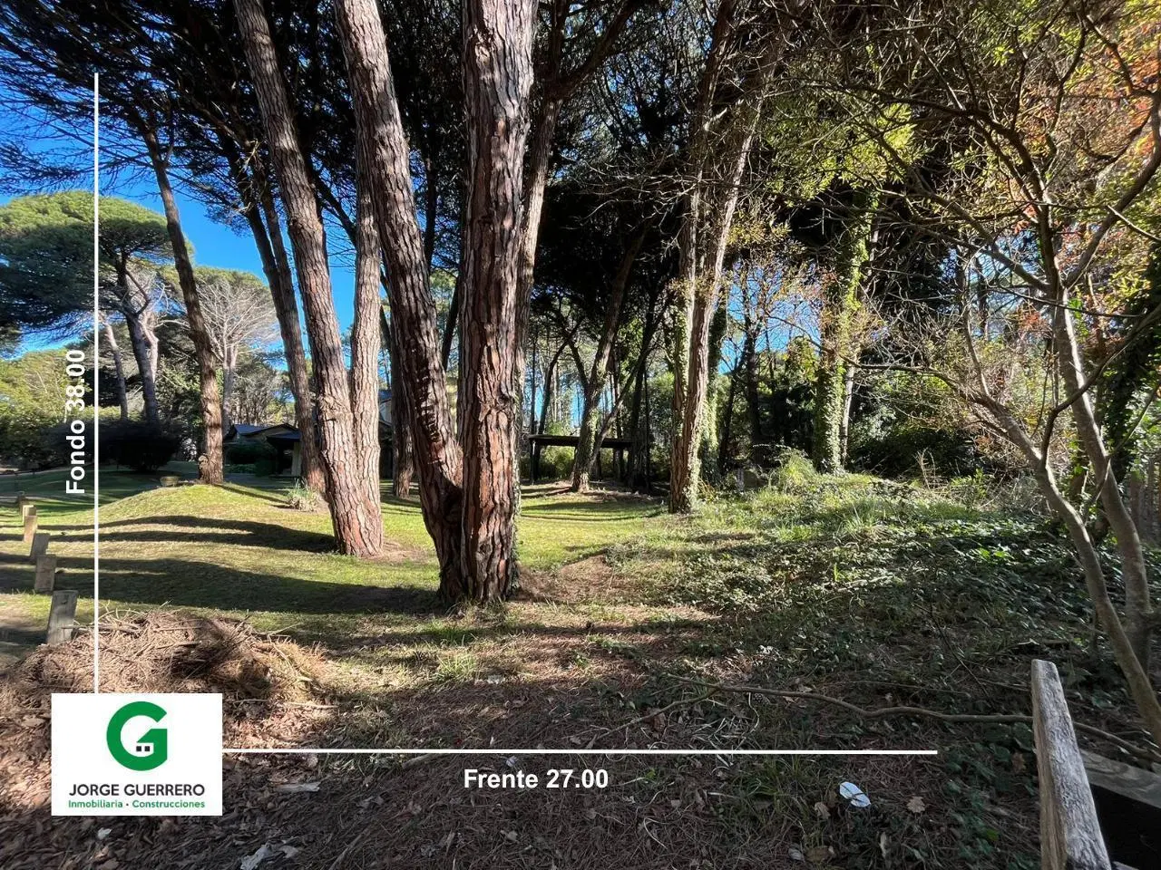 CODIGO - URRACA E/ CAOBA Y ARAUCARIA 3