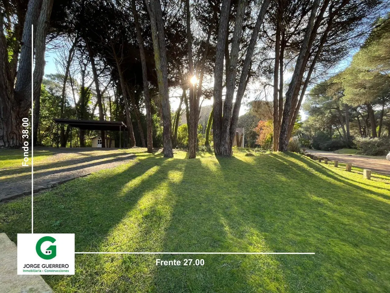 CODIGO - URRACA E/ CAOBA Y ARAUCARIA 1