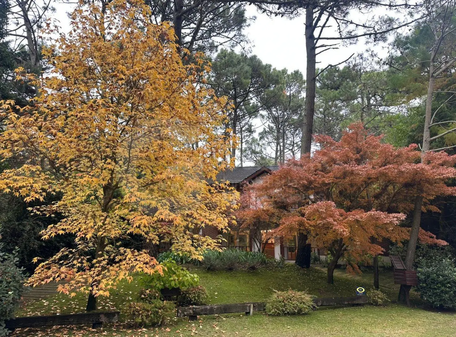 Casa - Carilo 5