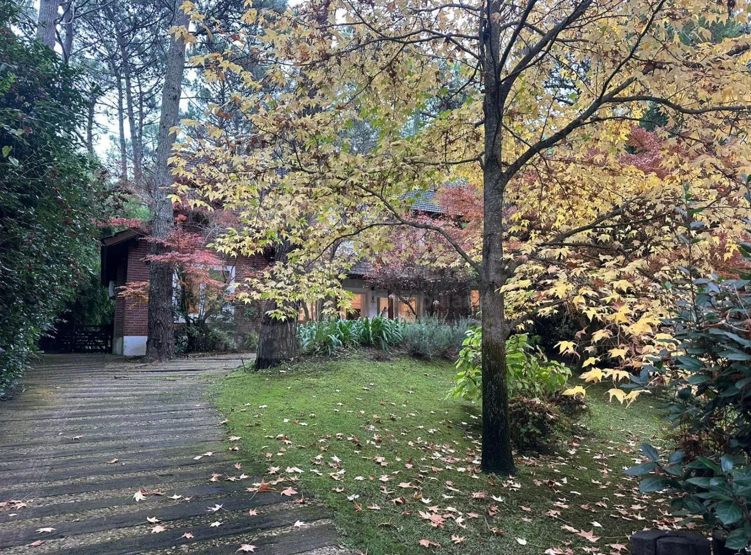 Casa - Carilo 2