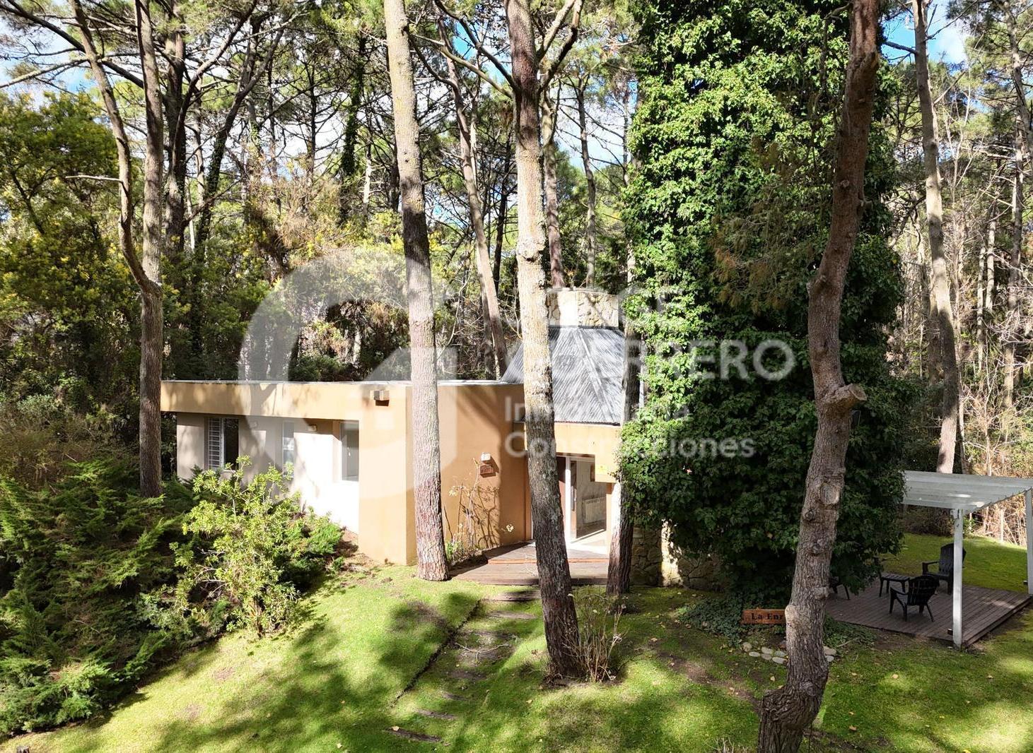 Foto de CODIGO 00- PETIRROJO ESQ CIPRES, imagen 2