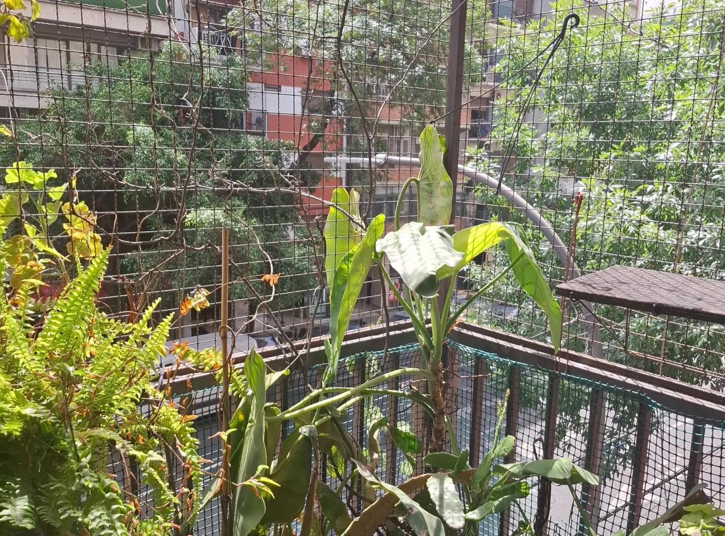 GRAN DEPARTAMENTO 4 AMB C DEP AL FRENTE BALCON CORRIDO 8