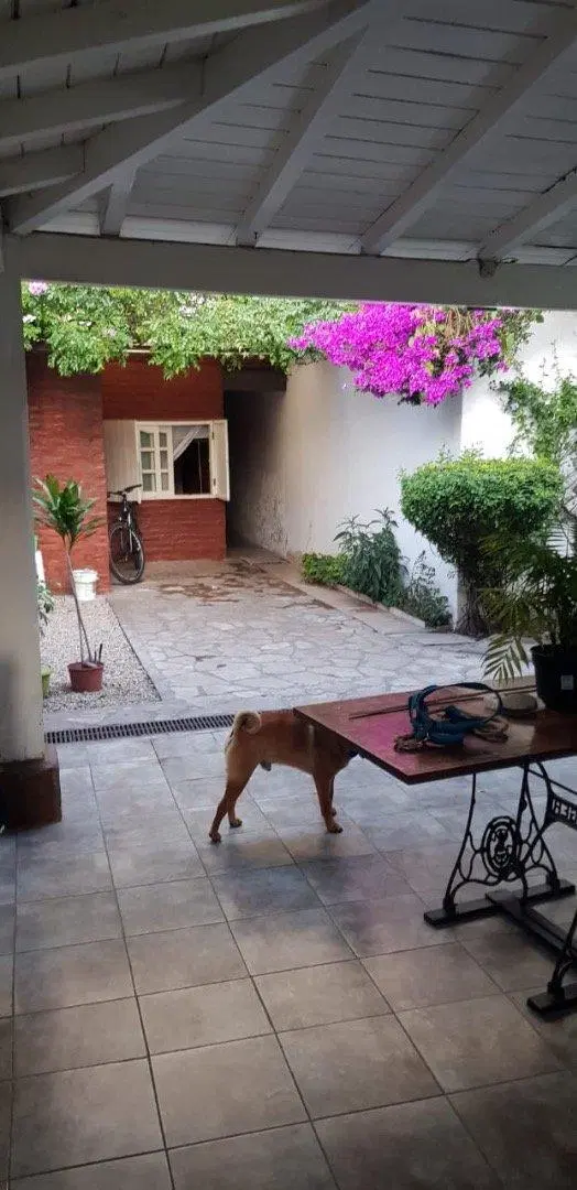 Casa pH Parque Luro Ideal para 2 familias 3