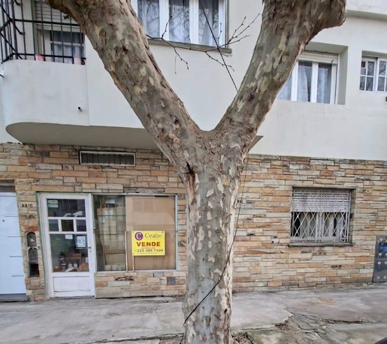 Foto de VENTA PH 3 AMB. CON LOCAL O GGE BELGRANO CASI ITALIA, imagen 4