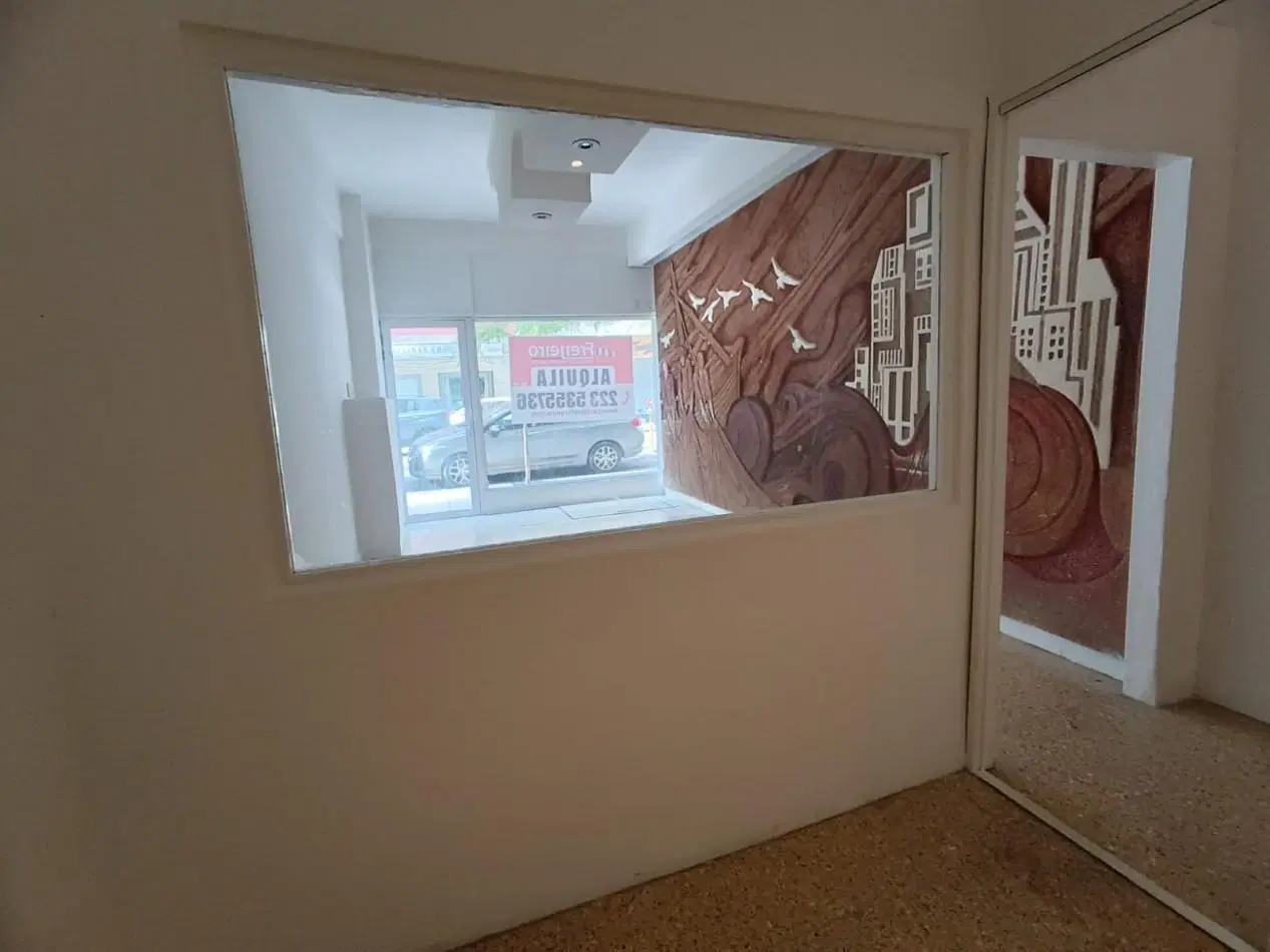 ALQUILO LOCAL COMERCIAL AL FRENTE, DIVISIBLE CON ZOTANO APTO DEPOSITO U OFICINA. CENTRO 4