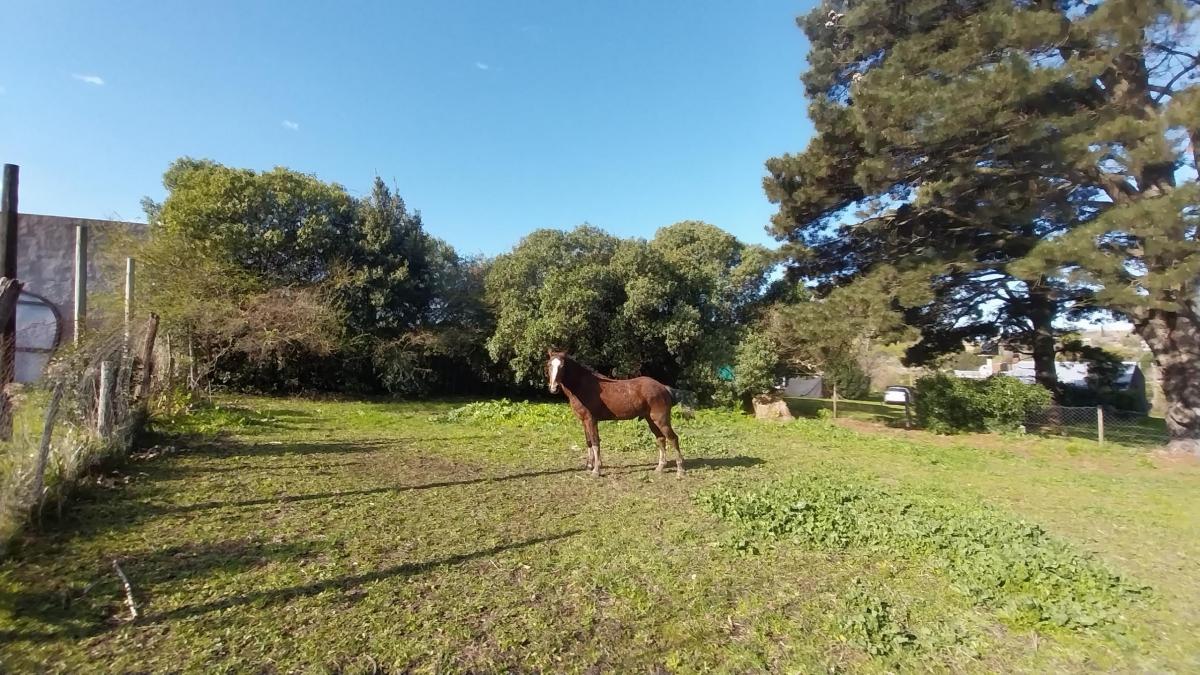 LOTE EN VENTA EN COLINA DE LOS PADRES, SIERRA DE LOS PADRES.