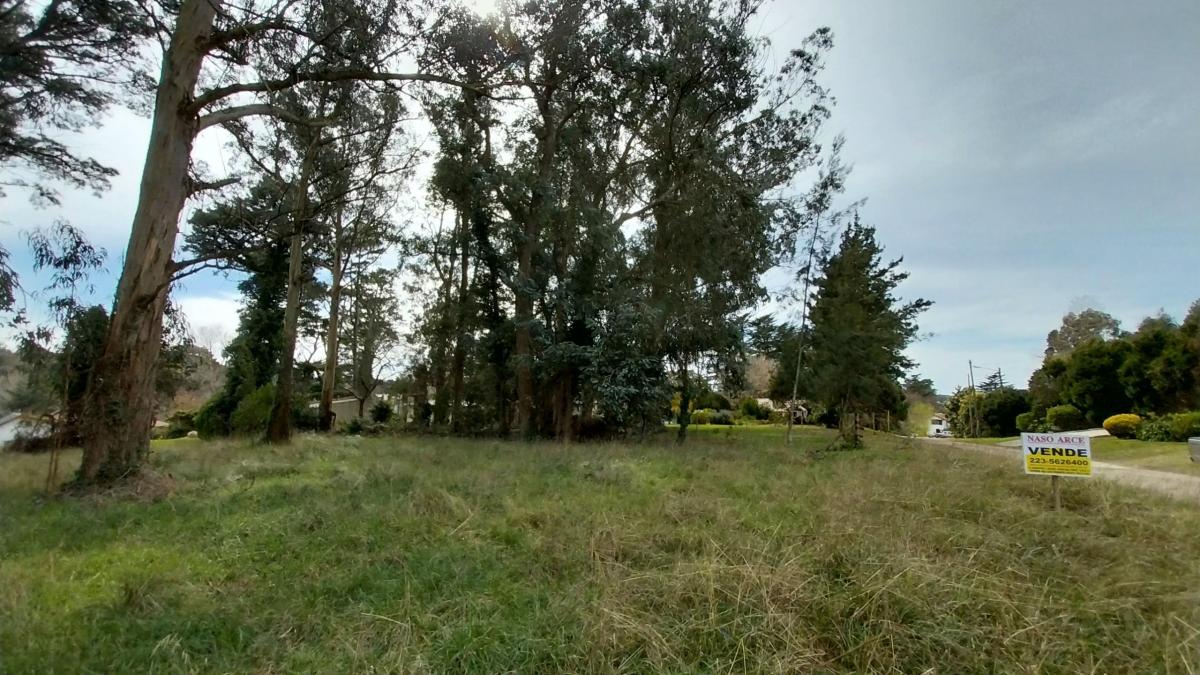 OPORTUNIDAD - LOTE EN VENTA EN SIERRA DE LOS PADRES