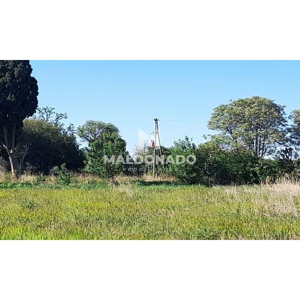 Venta Campo Quinta